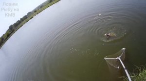 Рыбалка (КМВ) Нижнеподкумский 4 пруд. Отличный клёв 👍... но есть одно но🧐