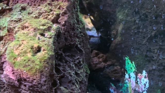 Креветосы, эпизод 3 смотреть онлайн