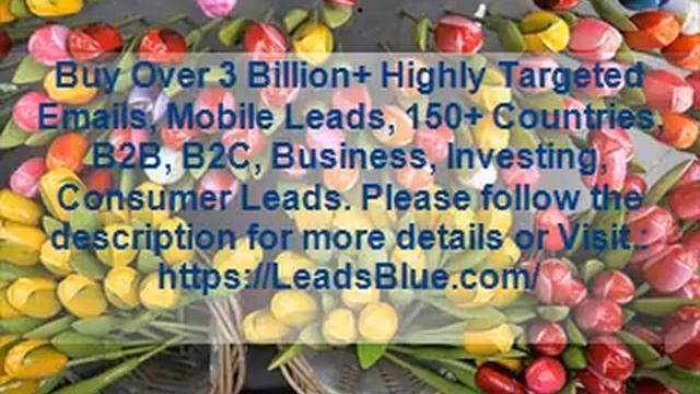 Buy Iraq Business Email List смотреть онлайн