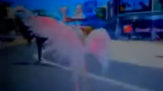 Пара Па. Видео лайк э про.. смотреть онлайн