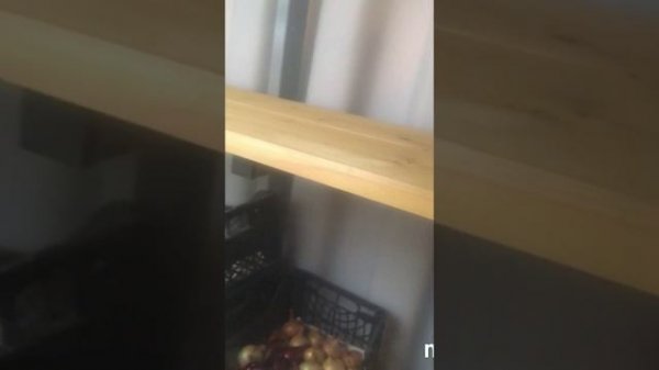 Отзыв клиента о погребе TINGARD #28 (г. Москва)