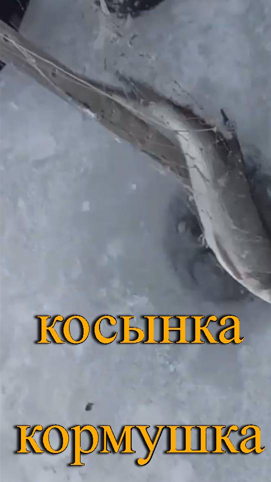 Рыбалка на профильную косынку! Профильная косынка в деле! Косынка в которую набивается прикормка! смотреть онлайн