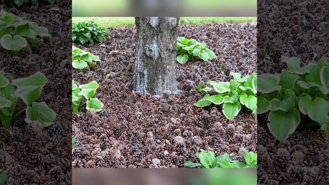 Вдохновляющие идеи для дачи #7 смотреть онлайн