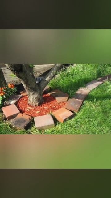 Идеи приствольного оформления #клумба #дача #gardening смотреть онлайн