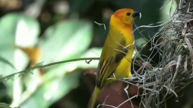 One two three, 1 to 100 counting, ABC, ABCD, 123, 123 Numbers, learn to count, alphabet a to z - A7 смотреть онлайн