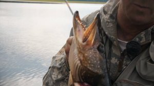 Рыболовная база в Нижневартовске