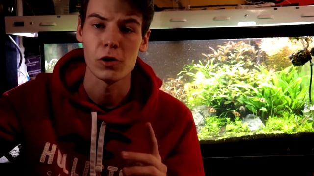 Planted Tank Science EP1: How to get SUPER WHITE Leaves смотреть онлайн