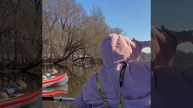 Позитивный мартовский сплав смотреть онлайн