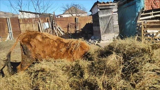 Всё обо всем!!!!