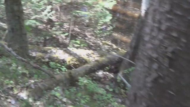 Золотоносная речка. Часть 2 смотреть онлайн