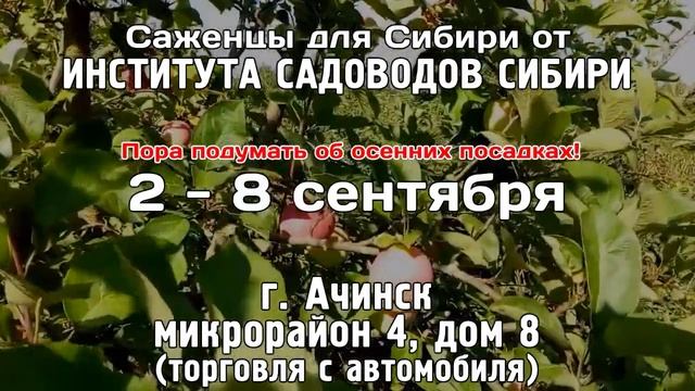 "Отражение дня" 3 сентября 2019 смотреть онлайн