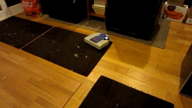Neato XV-21 Robotic Vacuum vs. Ton of Pet Hair! (Vacuum Demo) смотреть онлайн