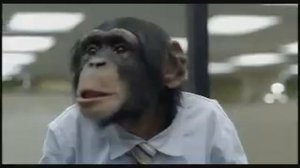 CareerBuilder.com: Monkey Business (Up - Down Profitability)