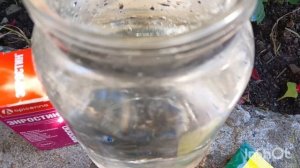 Дохнут куры. Не могу найти правильное лечение.