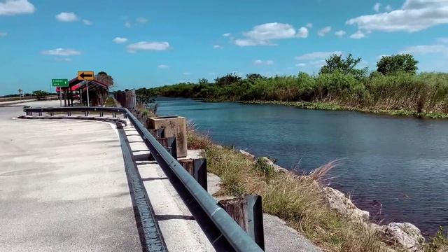 США ВЛОГ Едем а МАЙАМИ Крокодилы Атлантика Неожиданные встречи смотреть онлайн