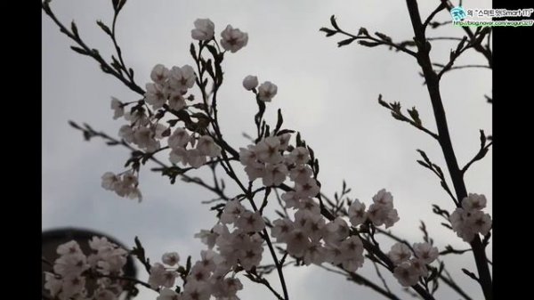 벤로 SHD CPL  HD ULCA WMC 필터 체험영상