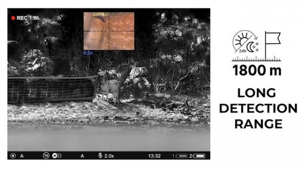 Pulsar Thermion DUO DXP55, Insane Image Quality!