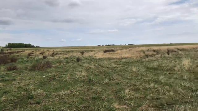 Камера наблюдения в поле . смотреть онлайн