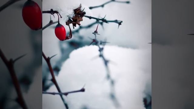 Зима. Winter. смотреть онлайн