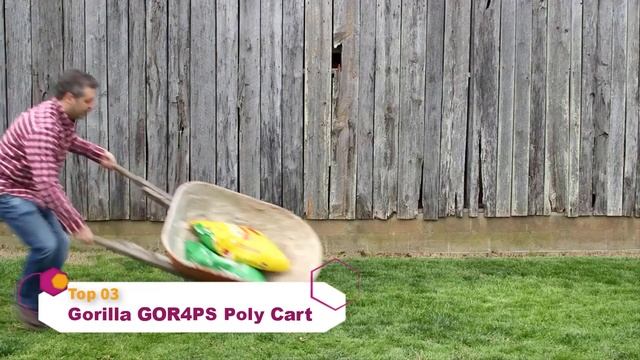 Best Deer Carts 2024 | Top 5 Deer Carts Review смотреть онлайн