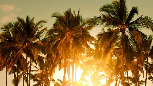 Baz Luhrmann - Wear Sunscreen (Mau Kilauea's Tropical Remix) смотреть онлайн