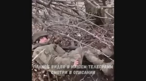 Солдат из Югры снял на видео как он выручил своего товарища оставшегося на передовой