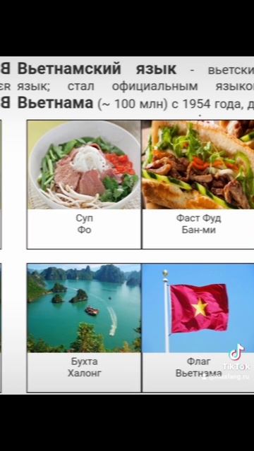 Топ 10 популярных языков мира 🗺️(14-23/55) смотреть онлайн