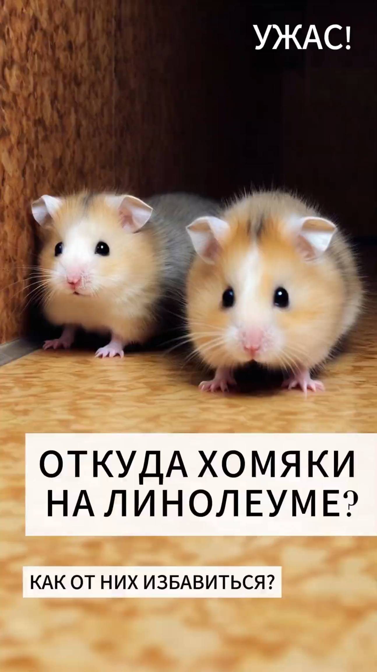 Неровности под напольным покрытием, как избавиться? смотреть онлайн