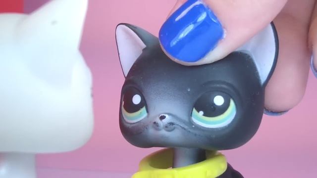 ♥ Littlest Pet Shop: Двойное Счастье. Слепая любовь. (4 сезон 4 серия) ♥ смотреть онлайн