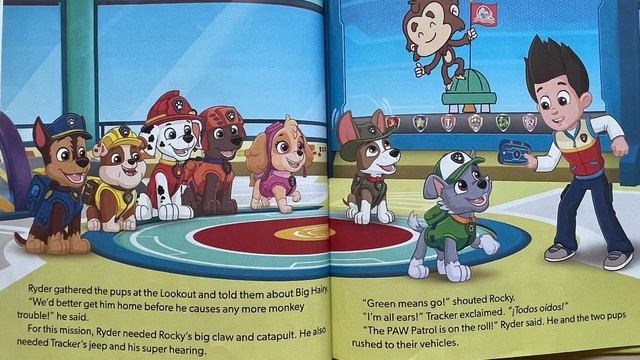 Paw Patrol 🐾 Track That Monkey - Read Aloud | Casey Neumann смотреть онлайн