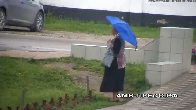 Цветочная воровка смотреть онлайн