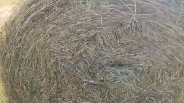 КФХ Идиятуллин/ Поставили личный рекорд по заготовки тюков за смену/ Фермерское хозяйство с нуля смотреть онлайн