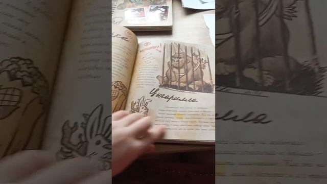 обзор дневника гравити Фолз