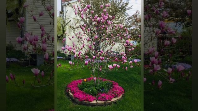 100 КРАСИВЫХ идей для сада, дачи, участка! DIY// 100 beautiful ideas for garden! смотреть онлайн