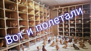 Вот и полетали