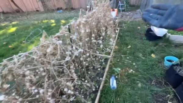 Жизнь в Канадской деревне