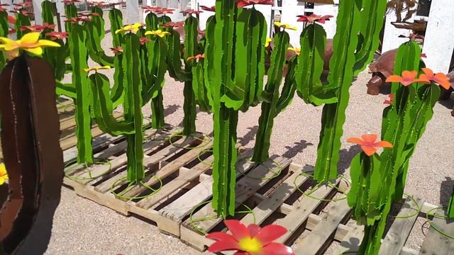 Cacti yard decor смотреть онлайн