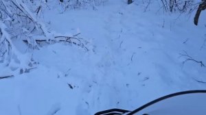 Сильные морозы нас не останавливают | Продолжаем поиски Башкирских лошадей чтобы пригнать их домой