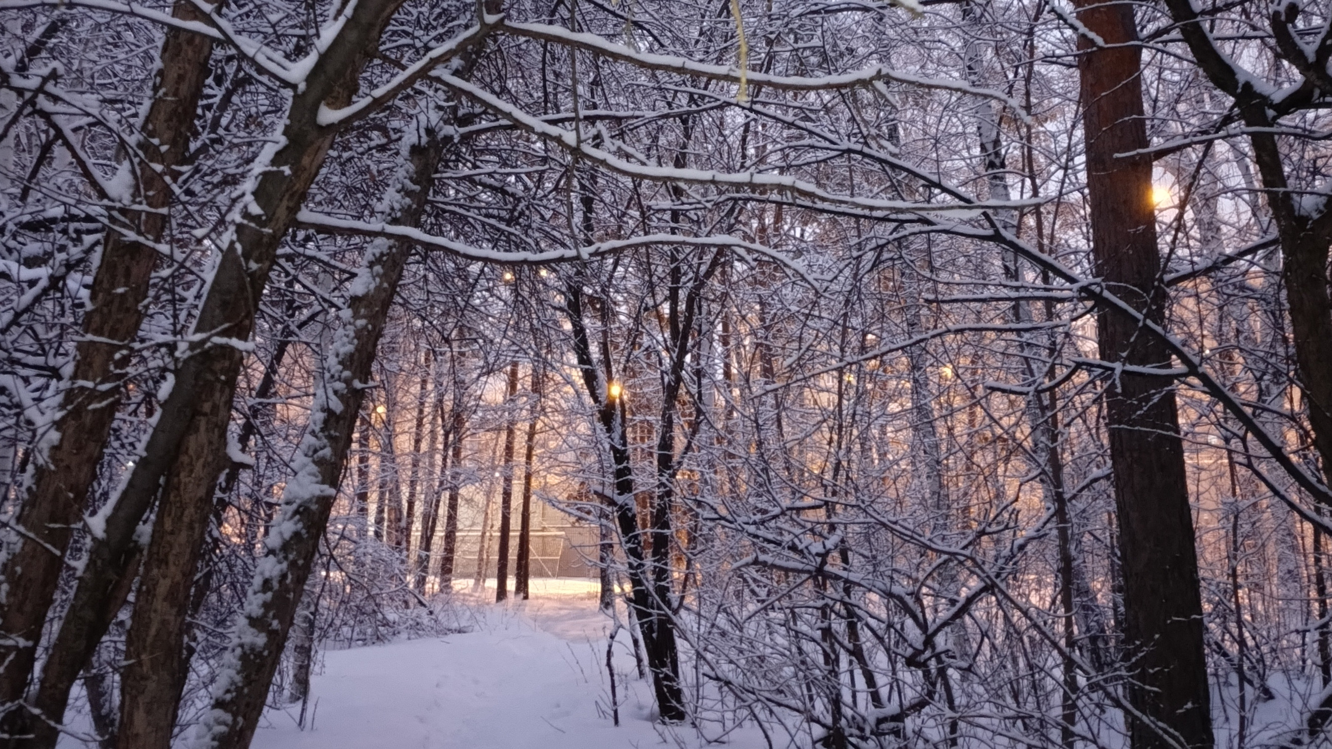 Красота уральского леса. смотреть онлайн