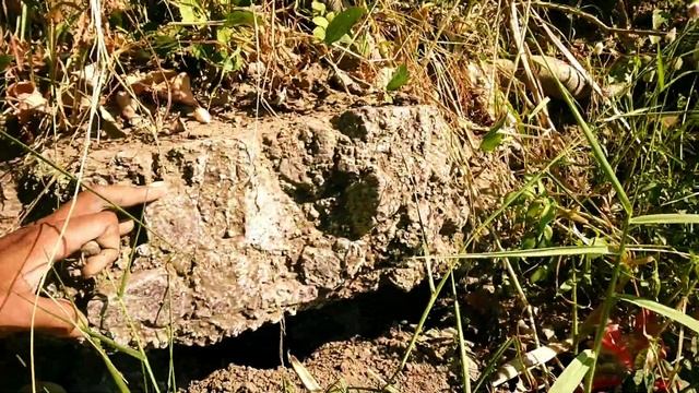 pelabuhan purba kerajaan singasari || situs raos pacinan смотреть онлайн