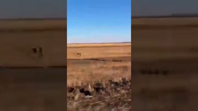 6 февраля 2023 г.