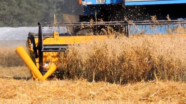 Żniwa 2017 Claas , John Deere , Bizon , New Holland i Unia смотреть онлайн