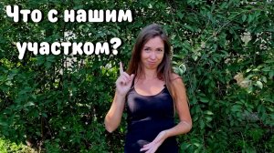 ВЫРАВНИВАЕМ УЧАСТОК СВОИМИ СИЛАМИЧто у нас получилось? Показываем промежуточный итог