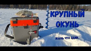 ЛЕДЯНАЯ РЫБАЛКА В -32