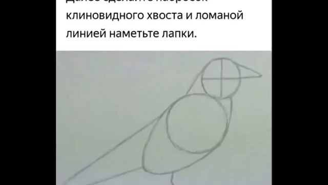Как нарисовать ворону поэтапно, легко и просто смотреть онлайн