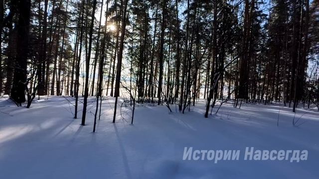 Многодетная мать устроилась к угасающему вдовцу миллионеру. А едва она села за рояль… смотреть онлайн