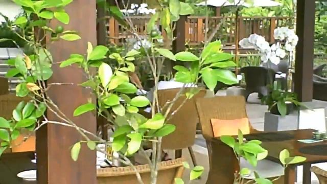 Bali tour of Ubud Hanging Gardens resort смотреть онлайн