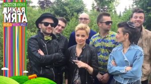 группа ФРУКТЫ приглашает на Дикую Мяту 2015