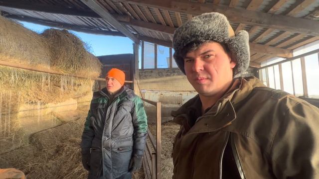 Провели весь день на хозяйстве / Продаем хороших жеребцов башкирской породы / Деревенские будни смотреть онлайн