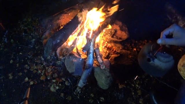 Поход в лес ночью #поход #выживание #тундра #ночевкавлесу #рыбалка смотреть онлайн